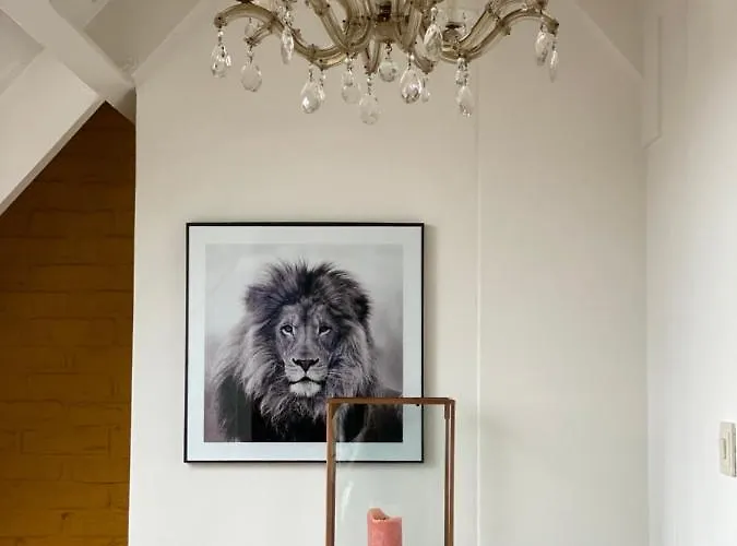 Huisje Harderwijk Harderwijk